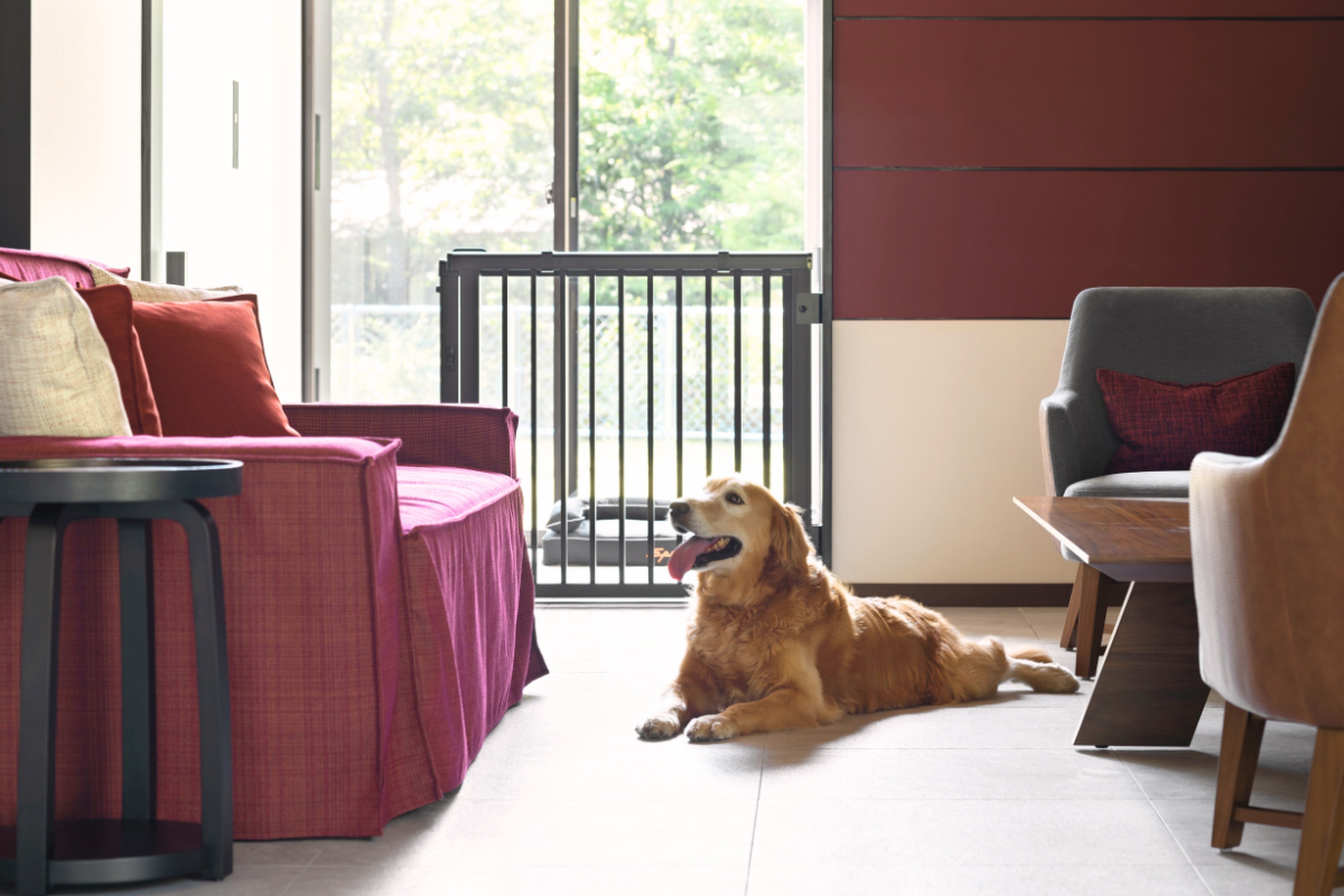 A Dog-Friendly Stay with Breakfast at Fuji Speedway Hotel